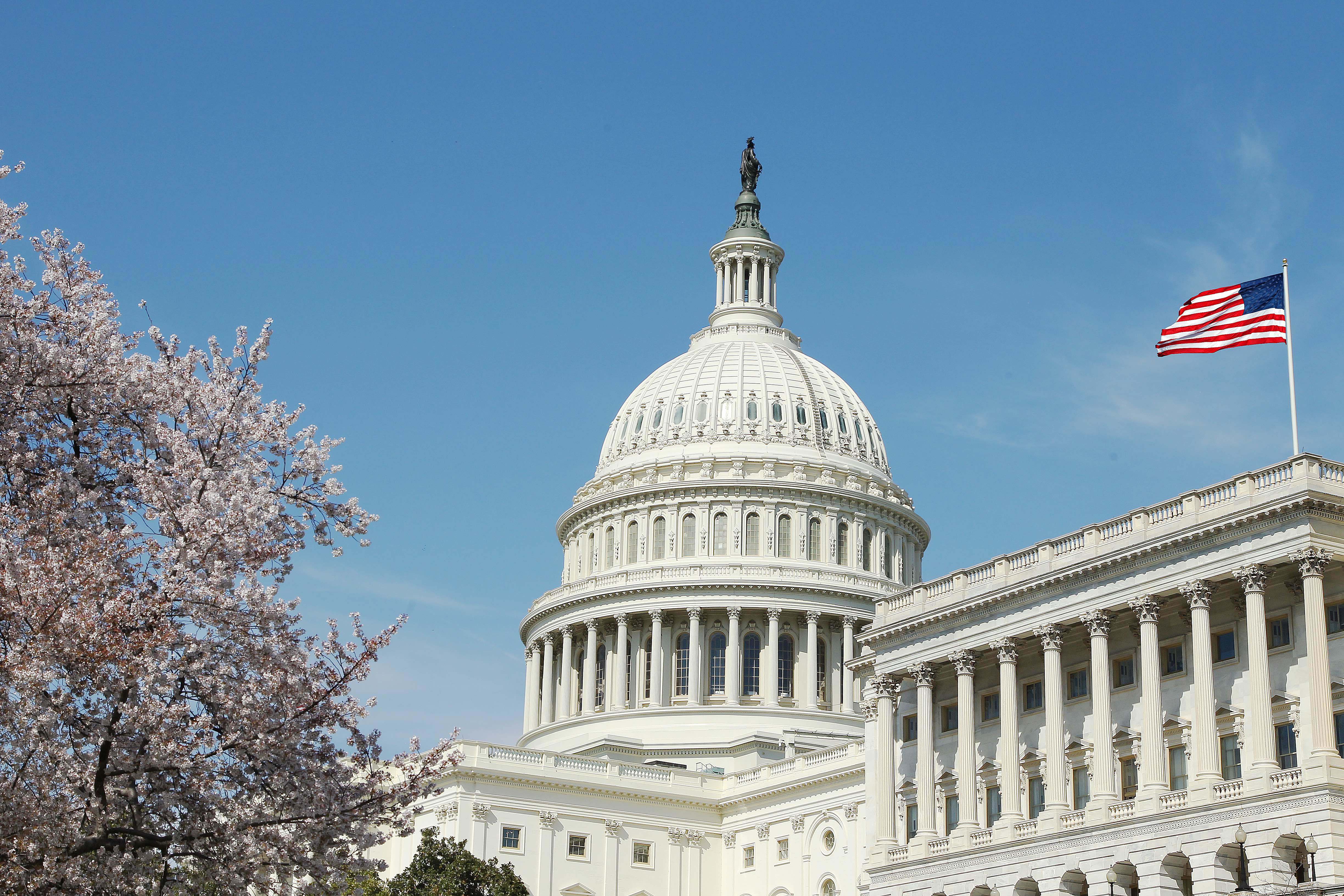 Парламент сша. Капитолий здание конгресса США. Сенат США Капитолий. Здание конгресса США В Вашингтоне. Капитолий США В Вашингтоне.