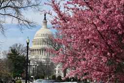 Congress, U.S. Capitol, fiscal 2022