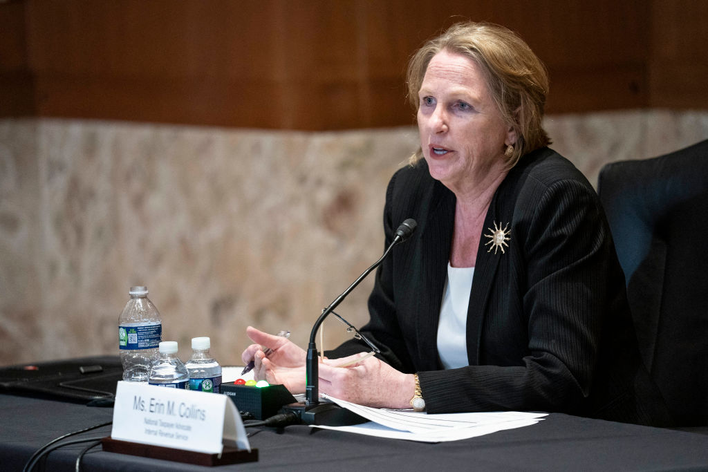 National Taxpayer Advocate pins some IRS modernization blame on procurement hurdles